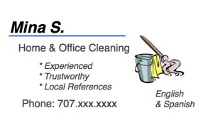 mina biz card for blog