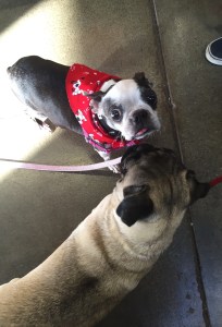 Mama, he's trying to kiss me!