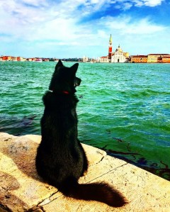 Photo by Silvio Olmeo, Venezia