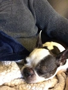 pain relieving cuddle