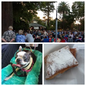 Healdsburg Plaza summer music