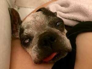 waking up to this face