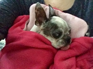 Abby in sleeping bag