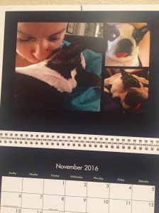 My Abby calendar