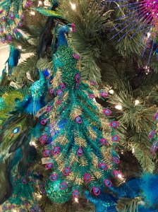 peacock tree