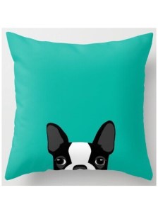 Photo credit: Amazon