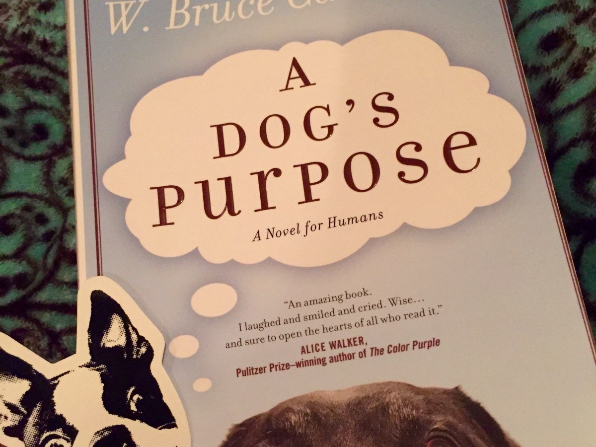 Can’t put the book&nbsp;down