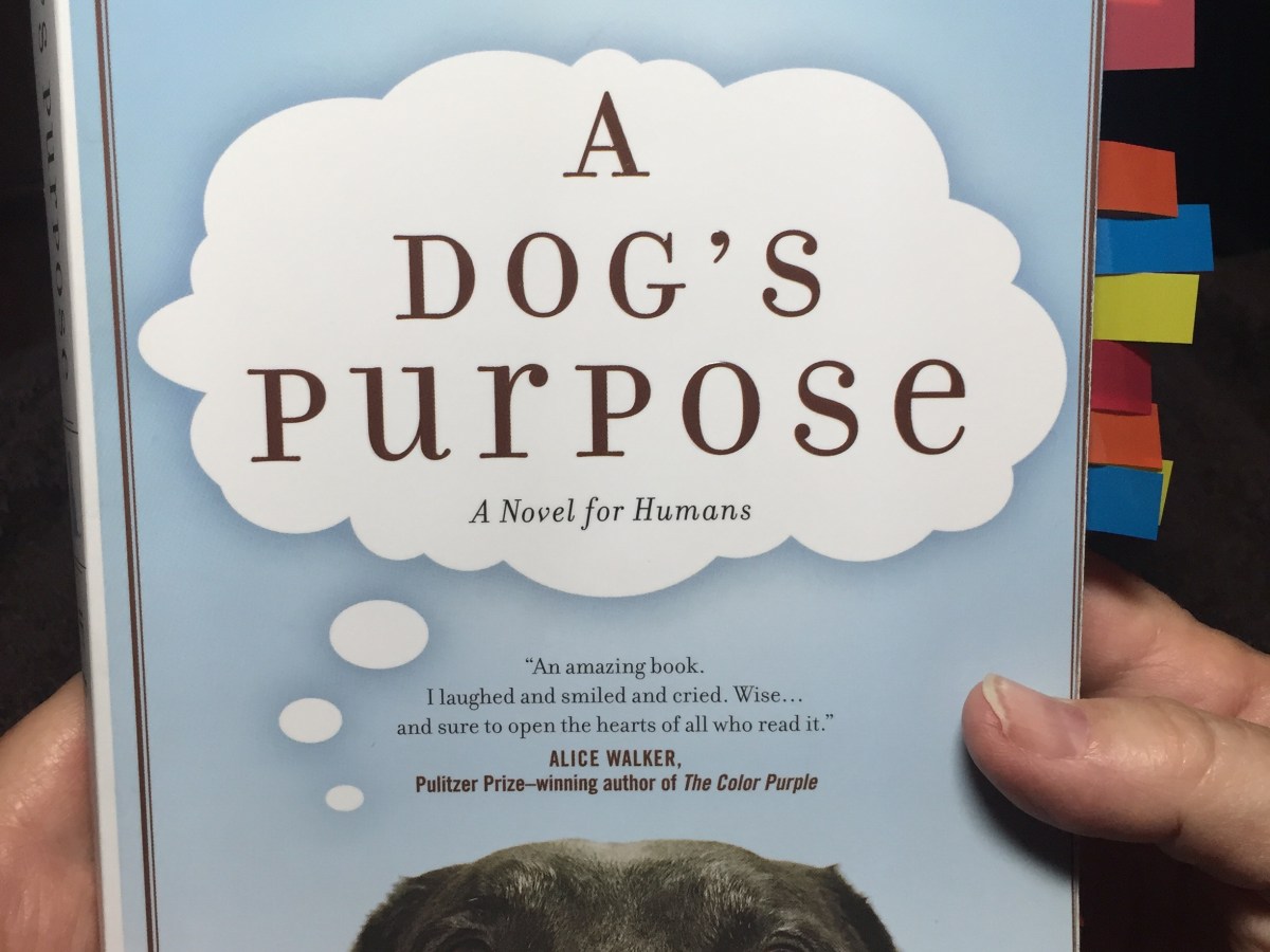 Mama finished the&nbsp;book!