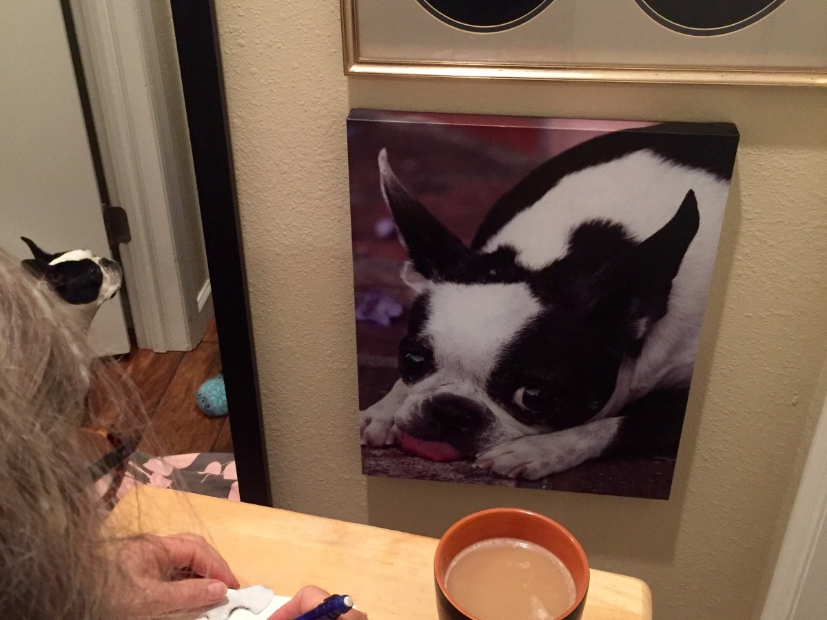 Mama’s drawing Abby