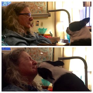 Just before and after Paisley wakes Mama