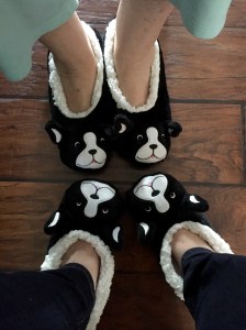 Boston Terrier slippers