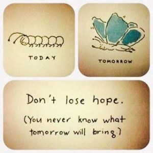Caterpillar to Butterfly Meme