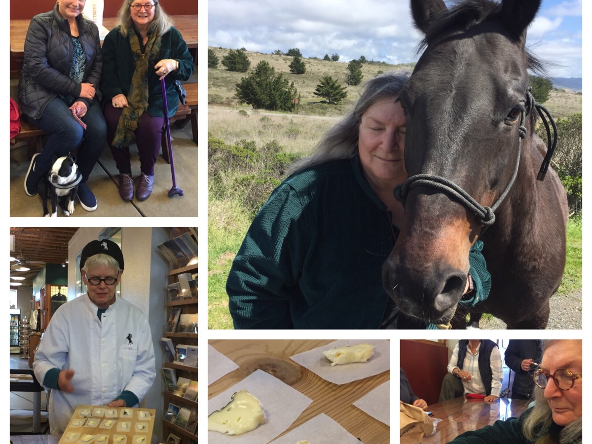 A cheese tour, plus the sweetest&nbsp;horse