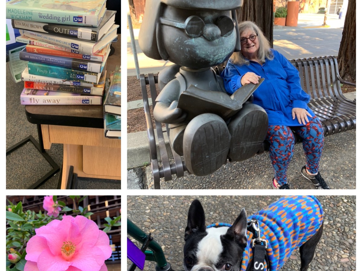 Book wild at the&nbsp;library