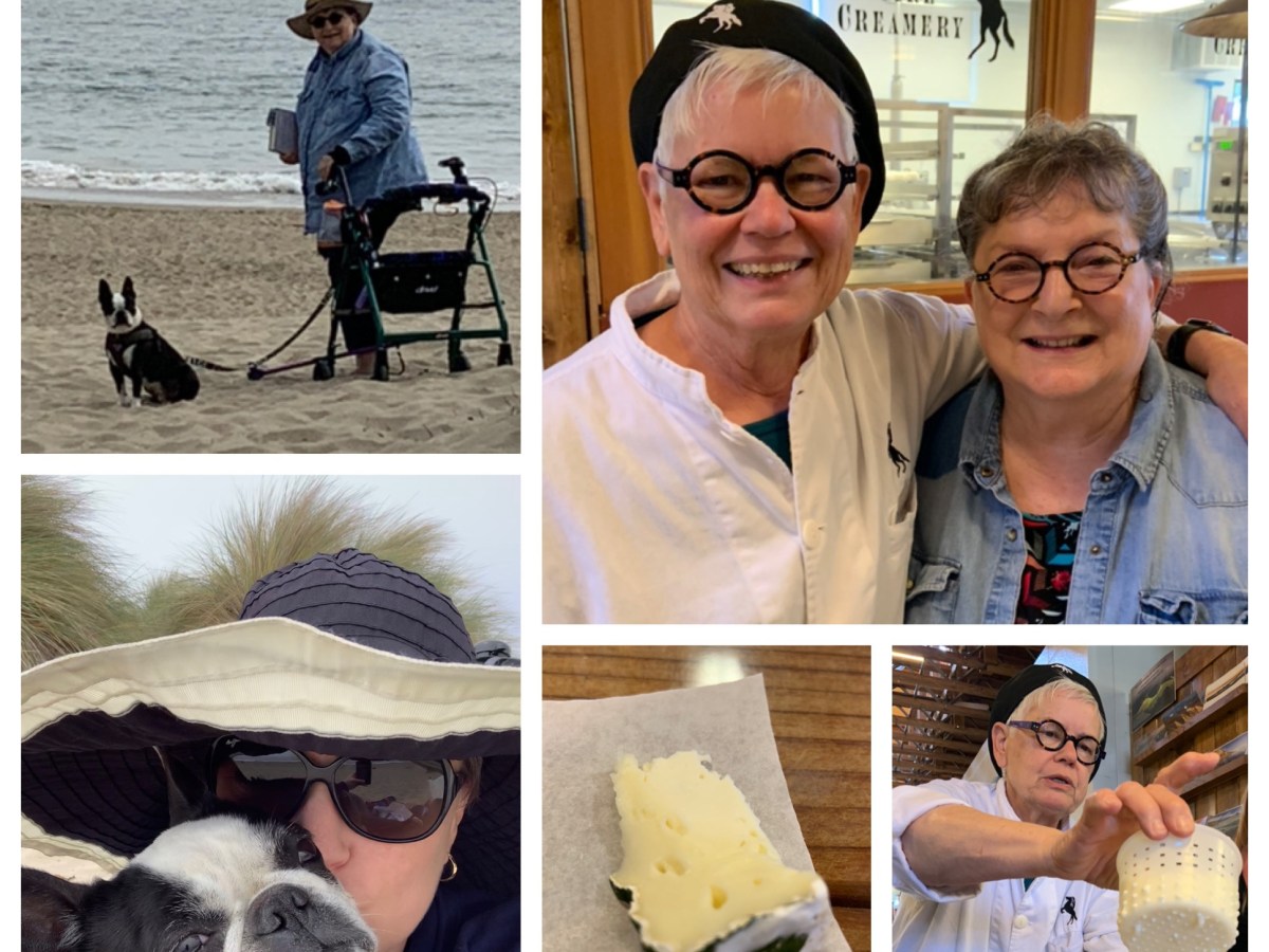 Cheese and ocean&nbsp;waves