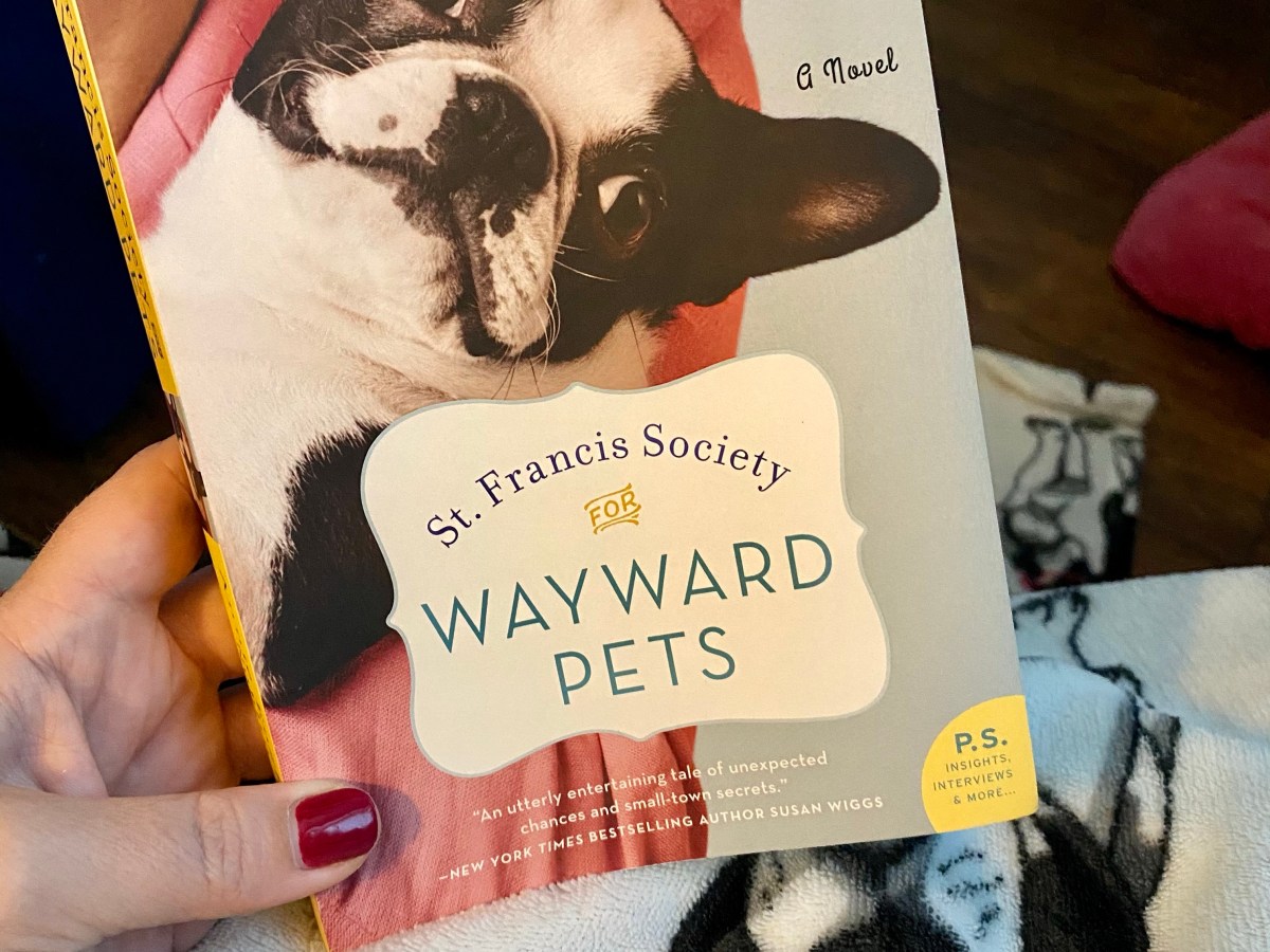 Rainy Sunday for&nbsp;reading