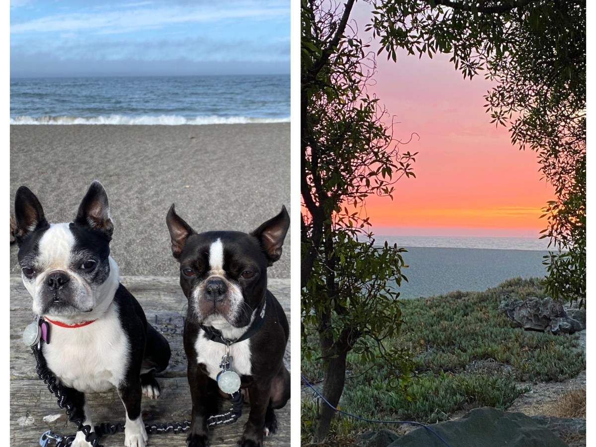 Camping at the&nbsp;coast